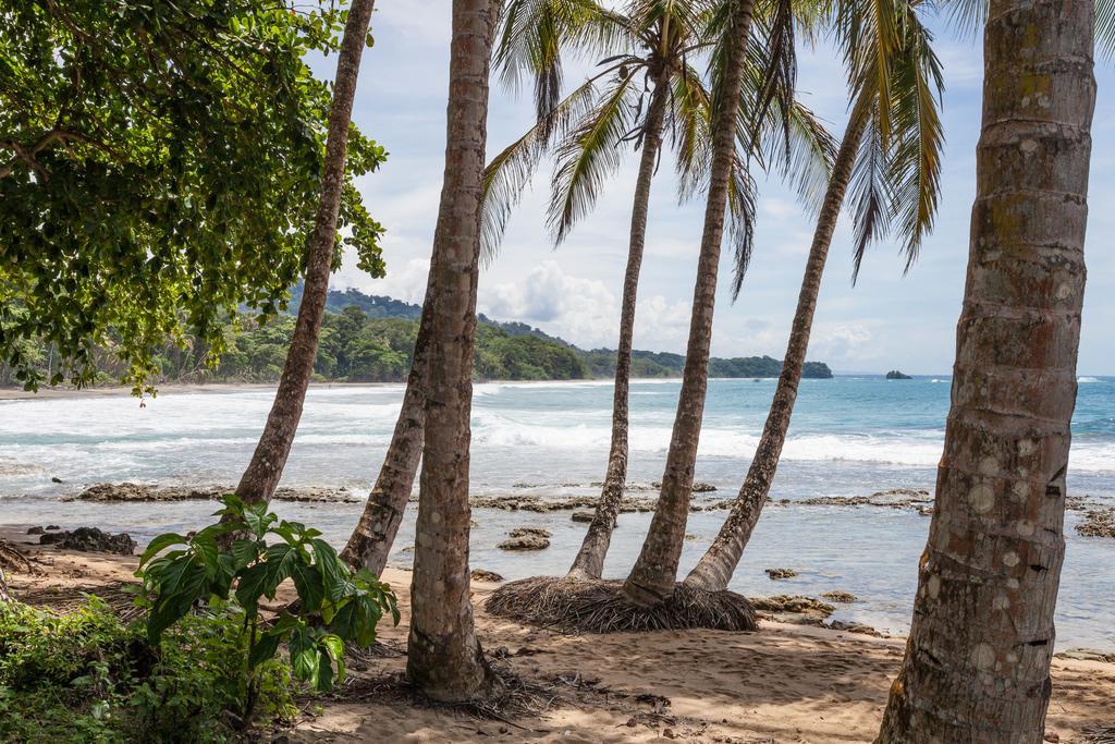 Relax Natural Village Adults Only Puerto Viejo de Talamanca Extérieur photo