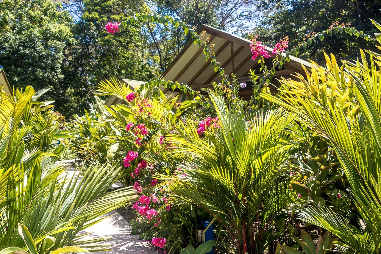 Relax Natural Village Adults Only Puerto Viejo de Talamanca Extérieur photo